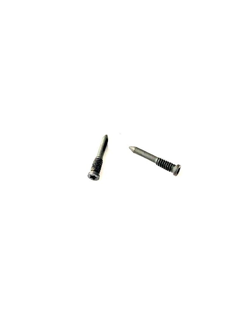 Set of 2 bottom screws for iPhone Xs Max Black