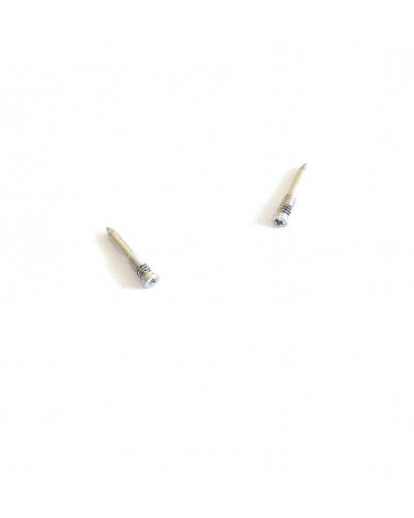 Set 2 Tornillos Inferiores para Iphone 12 - Plata