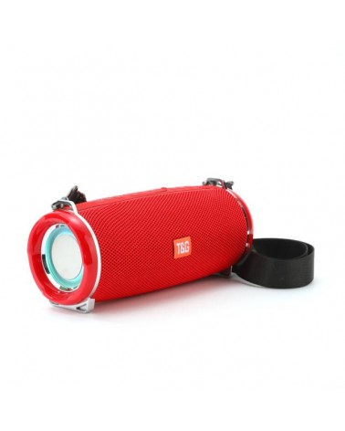 Portable Speaker T&G-192 Red